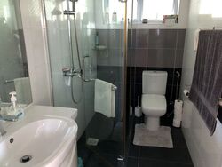 Shamrock Park (D10), Semi-Detached #337693951